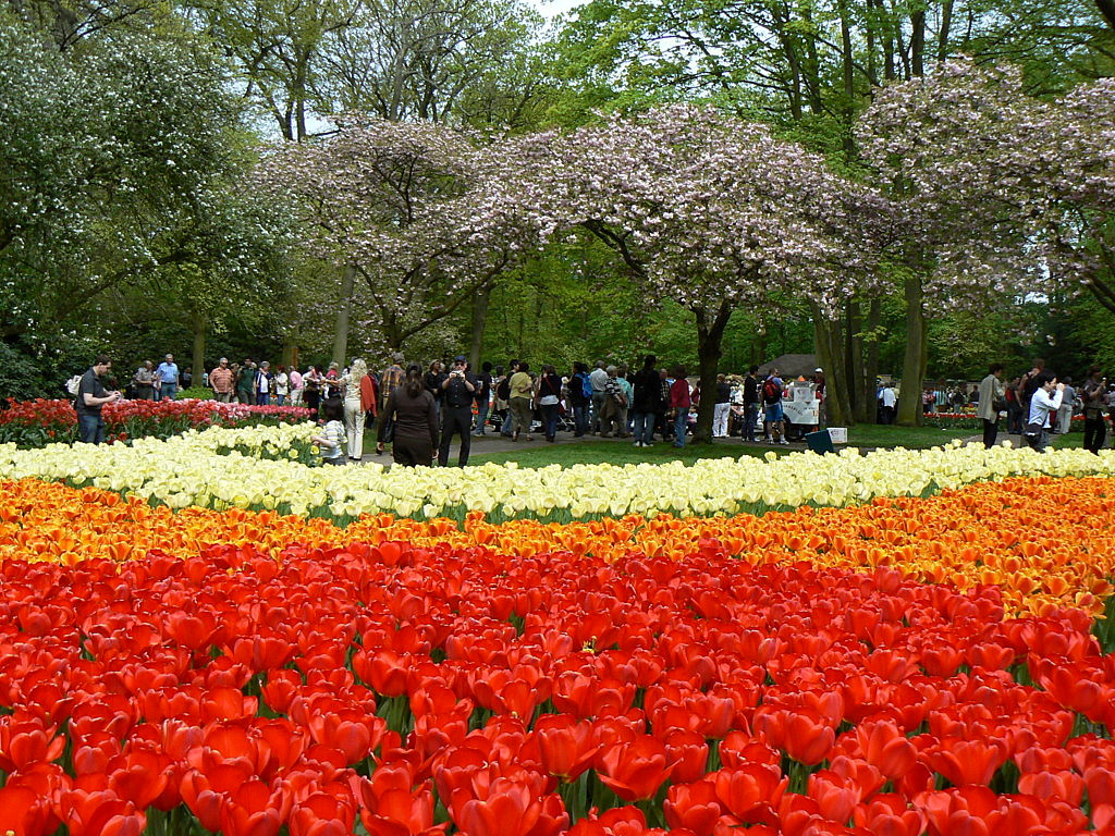 Keukenhof Garden